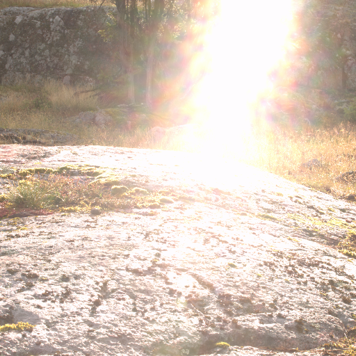 Input RAW - Prompt 17