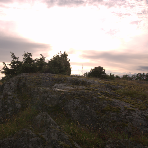 Input RAW - Prompt 18