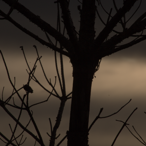 Input RAW - Prompt 22