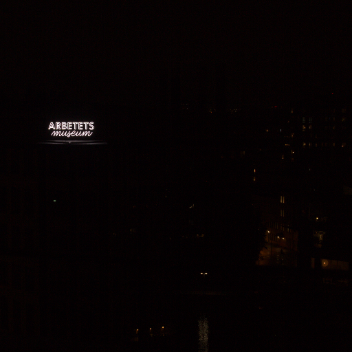 Input RAW - Prompt 51