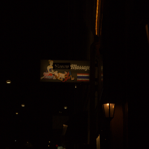 Input RAW - Prompt 55