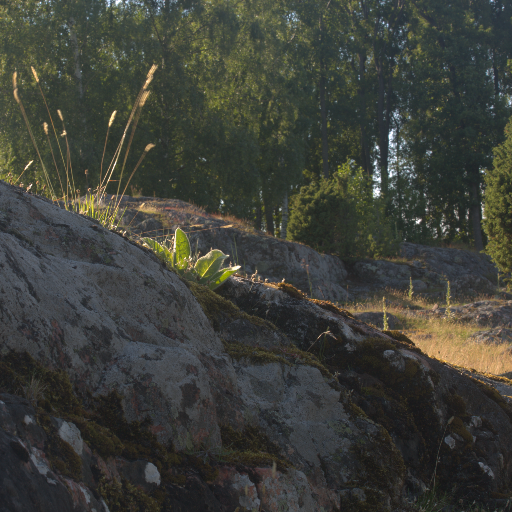 Input RAW - Prompt 6