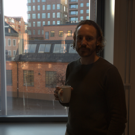 Input RAW - Prompt 62