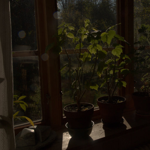 Input RAW - Prompt 65