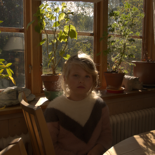 Input RAW - Prompt 67