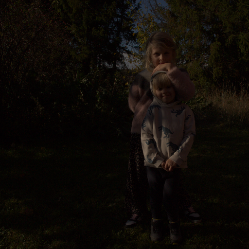 Input RAW - Prompt 75