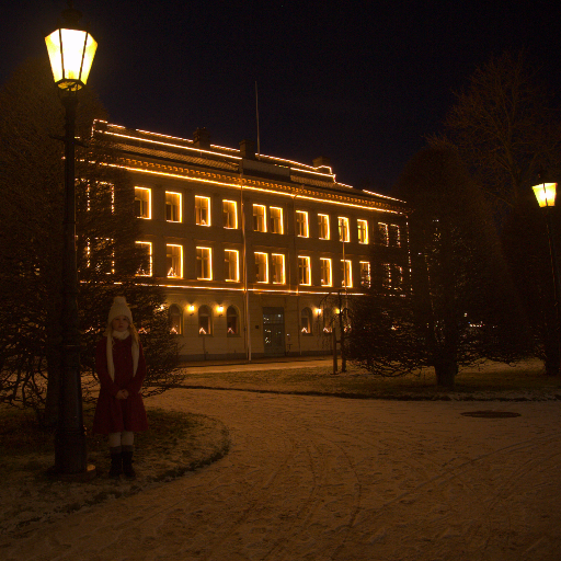 Input RAW - Prompt 78