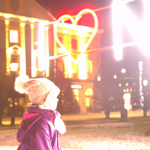 Input RAW - Prompt 80