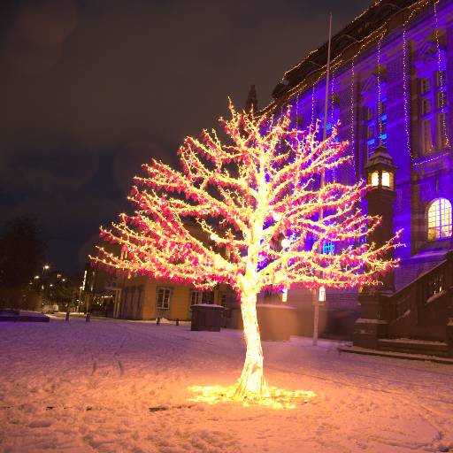 Input RAW - Prompt 82