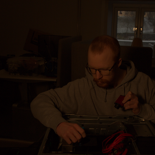 Input RAW - Prompt 89