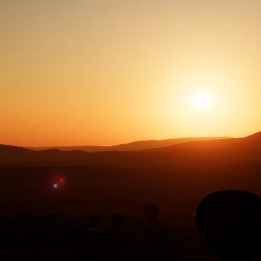 Ours (Flux) - Prompt 47